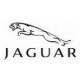Jaguar Jaguar